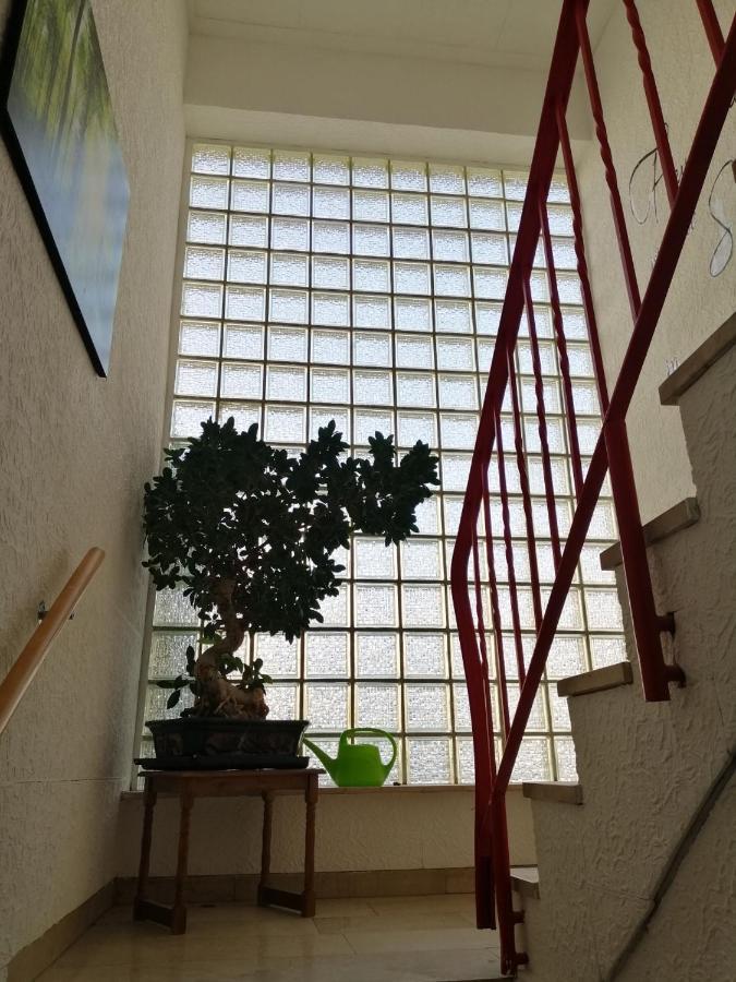 Ferienhaus Elwetritsche In Landau/Pfalz 朗道因德普法尔茨 外观 照片