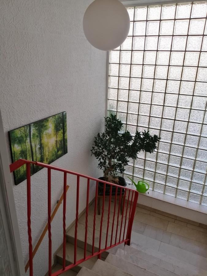 Ferienhaus Elwetritsche In Landau/Pfalz 朗道因德普法尔茨 外观 照片